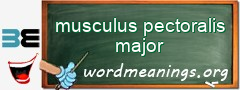 WordMeaning blackboard for musculus pectoralis major